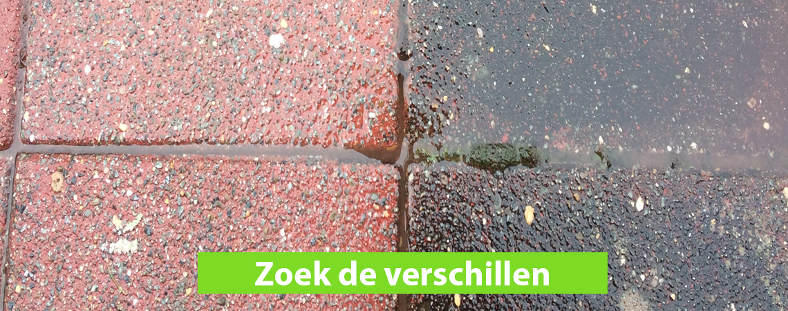 Zoek de verschillen